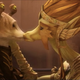 Image for article titled Clone Wars' final season turns Order 66 into a Hitchcockian thriller